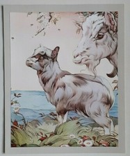 DETMOLD GOAT KID PRINT Lithographic Art Print Vintage C1915 Artwork