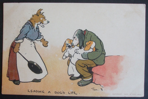 Tom browne dog - tom, comic