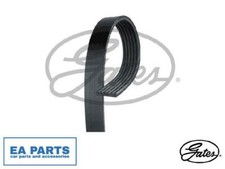 V-Ribbed Belts for AUDI A1 A1