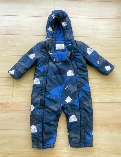 Dinosaur all one - in, pramsuit