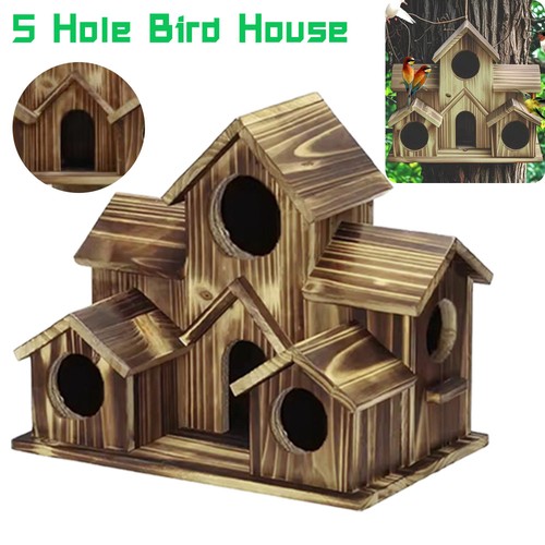 Garden 5hole wild bird - 5hole,