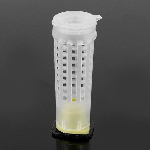 Queen cage environmentally - cage,