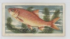 1960 Brooke Bond Freshwater
