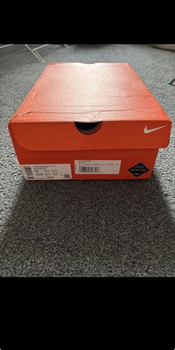 Nike pegasus gtx gore tex - nike, gore-tex