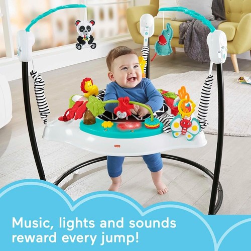 Fisher price fwy41 - fisher-price,
