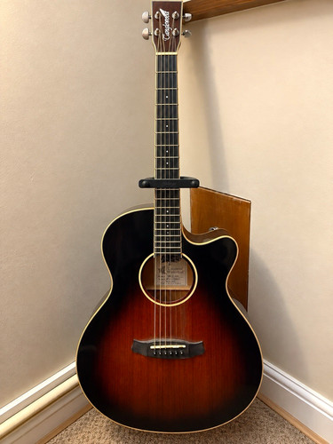 Tanglewood winterleaf tw4 - tanglewood,