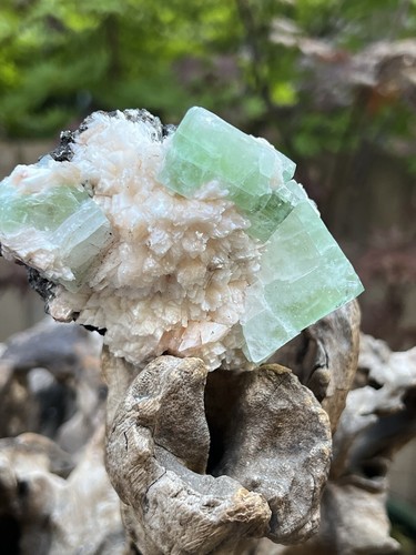 Green multi cubic apophyllite - green,