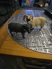 Vintage Farm Animals Sheep And