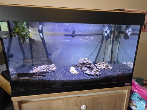Fluval roma 125 - roma,