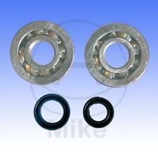 Engine Shaft Bearings Kit