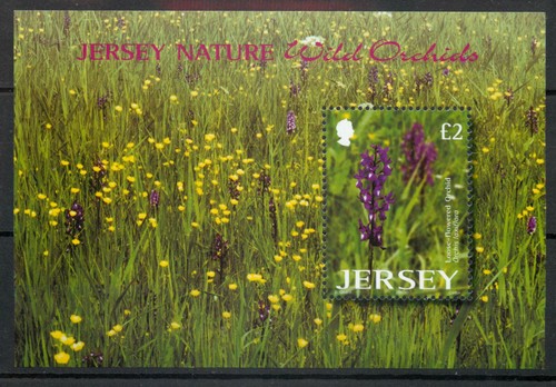 Jersey 2003 wild orchids - jersey,