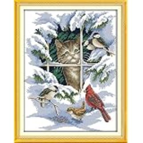 Cat and bird - cat, kit