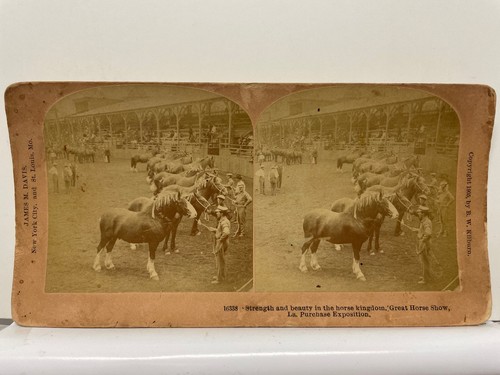 Great horse show stereoview - great,