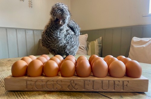 Personalised oak bantam egg - oak,