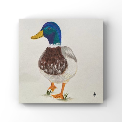 Runway fine art - fine, duck