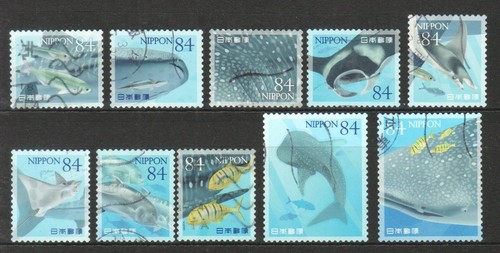Japan 2021 marine life - part, 5