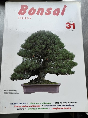 Bonsai today magazine - magazine, 31