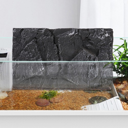 Decorative terrarium - decorative,