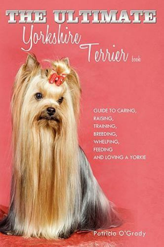 Ultimate yorkshire terrier - ultimate,