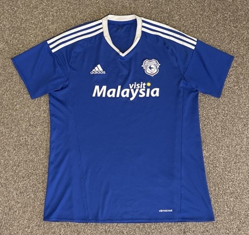 Cardiff city 2016 - city, home