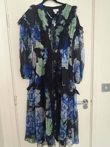 Coast maxi dress - coast,