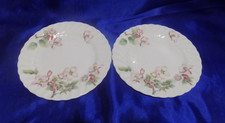 Wedgwood -  APPLE BLOSSOM