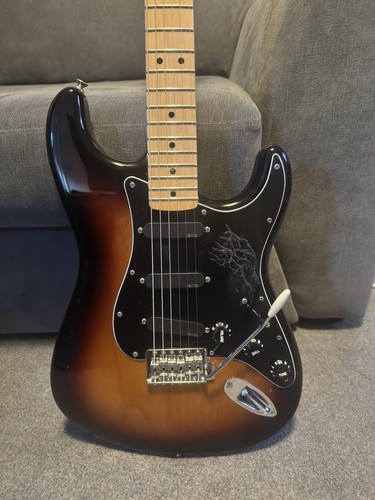 Fender stratocaster mexican - stratocaster,