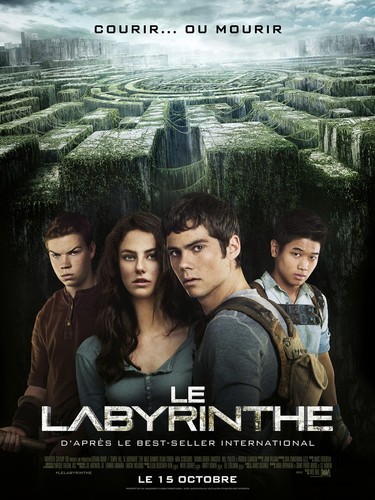 The maze runner 2014 - runner, 24