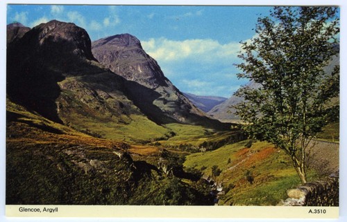 1970s dennis postcard the - dennis,