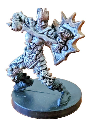 Spiker champion angelfire - spiker,