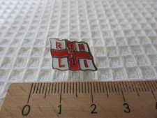 RNLI flag rare pin badge (#
