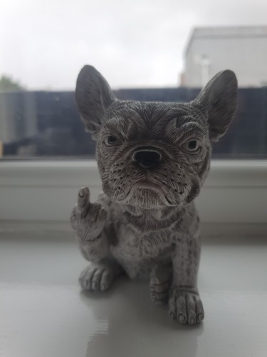 French bulldog plant pot - bulldog,