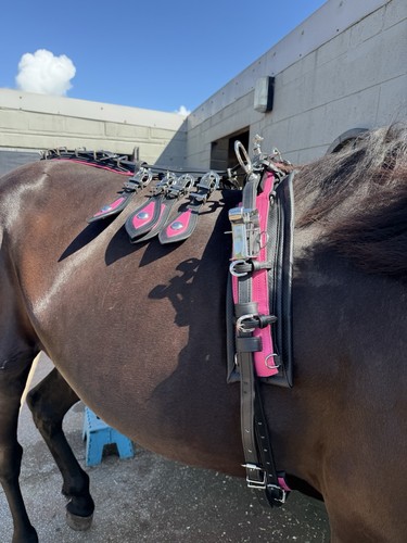 Pink quick hitch - pink, full