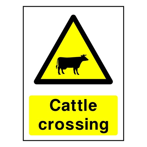 Cattle crossing sign - crossing, or