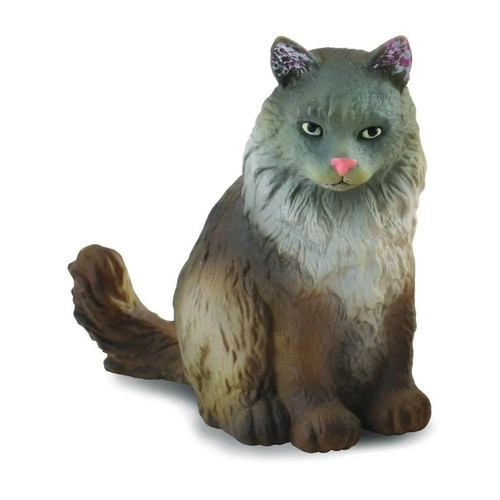 Norwegian forest cat sitting - cat,