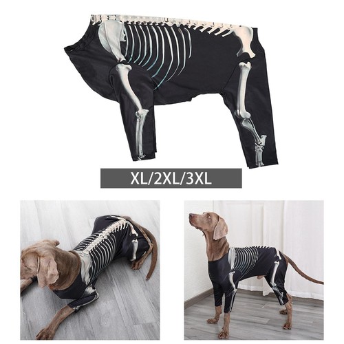 Halloween skeleton dog - halloween,