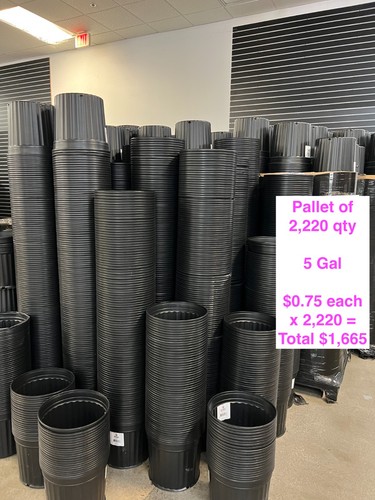 Gal pallet deal - gal,