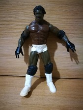 Wwe titan 7 inch figure booker
