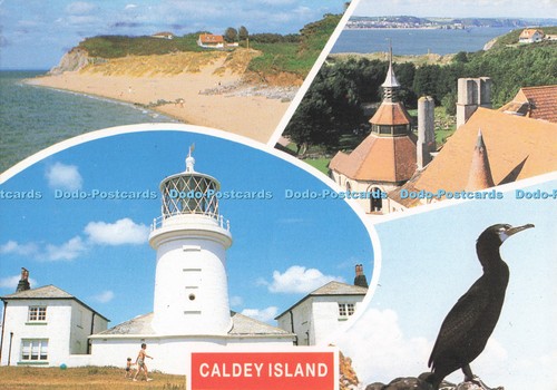 D294184 caldey island - caldey, island.