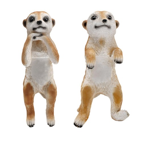 Meerkat garden animal - garden,