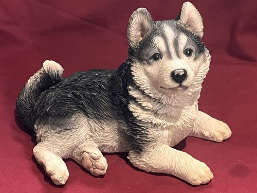 Rare vivid arts lying husky - arts,