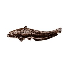 F46 Wells Catfish Fish Copper
