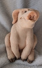 Piggin pigs stubborn - piggin,