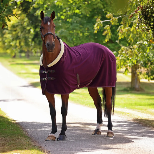 Shires deluxe fleece rug - rug,