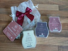 Scentsy Valentine's Day Bundle