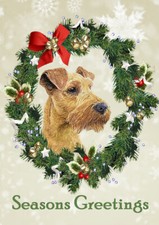 IRISH TERRIER SEASONS