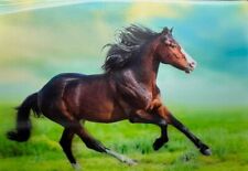 Horse - 3D Lenticular Postcard