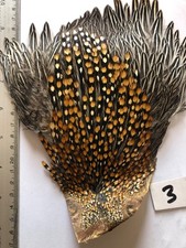 jungle cock cape fly tying