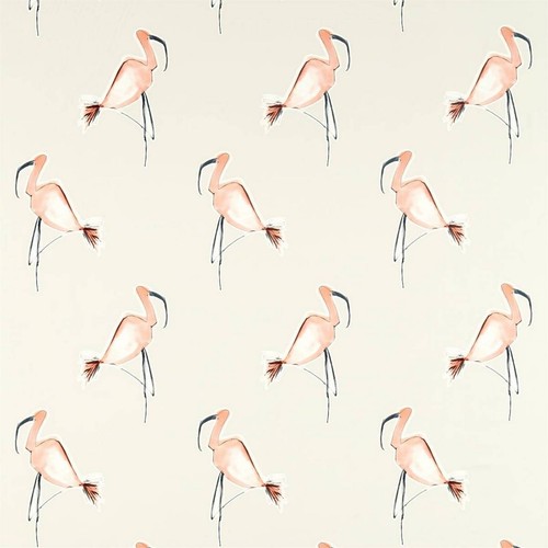 Scion zanzibar peach 5m - peach, 0.5m