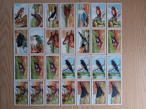 Gallaher ltd cigarette cards - gallaher,